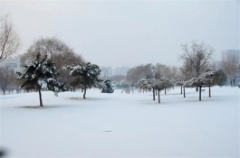 等一场雪