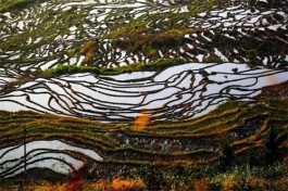 雨花石里的幸福梯田