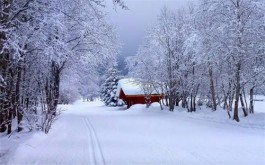 小雪