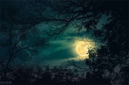 月色笼罩的寂静