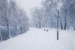 下雪的冬天