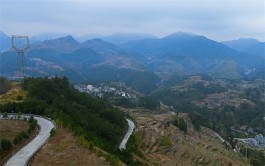 书香茗山