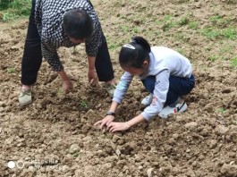 人生如种地 需以勤为本