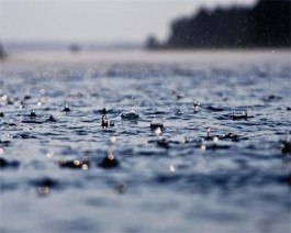 今天的我再淋不到昨天的雨水