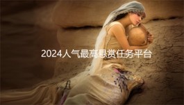 2024人气最高悬赏任务平台，人人都能做任务赚零花钱