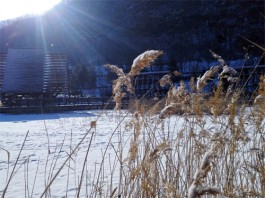 雪后的暖阳