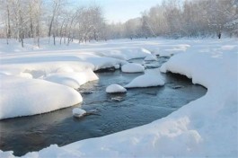 雪飘落下来