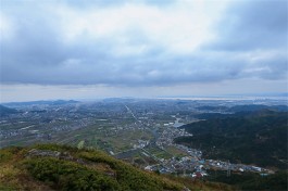 这片芬芳的土地叫茗山