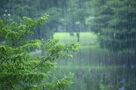 梅雨季节多听雨