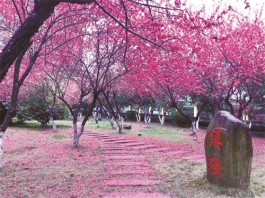 斜风细雨作春寒