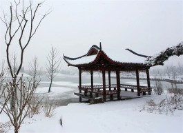 麓山听雪