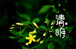 清明感赋