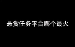 悬赏任务平台哪个最火（2025年人气最旺的任务悬赏软件）