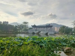 飞来湖听雨