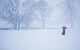 在南方,静候一场大雪