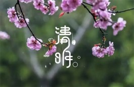 《清明》同题诗三首