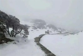 等雪