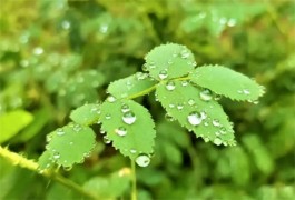 雨中飞行