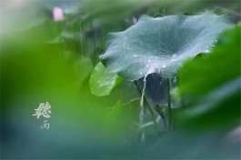 听雨