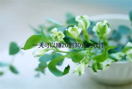 什么软件一天能挣20到30元？2024年每天稳定赚零花钱20到30元的软件