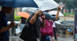 雨景百态品人生